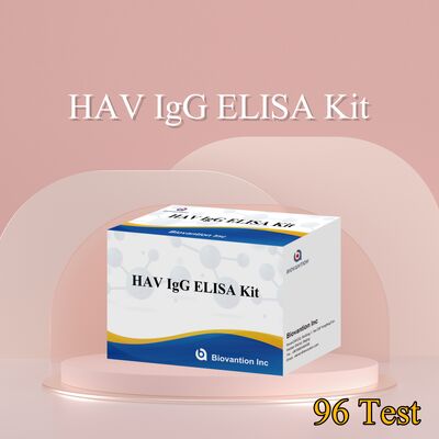 高感度 HAV IgG ELISA キット (0.2 ng/mL) CE認証 96 試験で正確な A 肝炎ウイルス検出