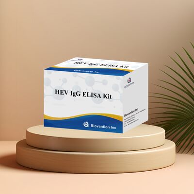 高感度HEV-IgG ELISA検査キット 96Tサイズで,ヘパチスE診断のための18ヶ月の保存期間
