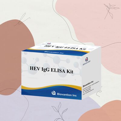 高感度HEV-IgG ELISA検査キット 96Tサイズで,ヘパチスE診断のための18ヶ月の保存期間