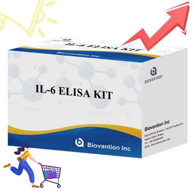 IL-6 インターロイキン-6 ヒト ELISA キット、99% の精度、24ヶ月の有効期限、96テスト/キット