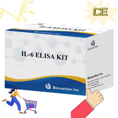 IL-6 インターロイキン-6 ヒト ELISA キット、99% の精度、24ヶ月の有効期限、96テスト/キット