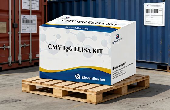 研究室または病院 高精度 CMV IgG Elisa 検査キット