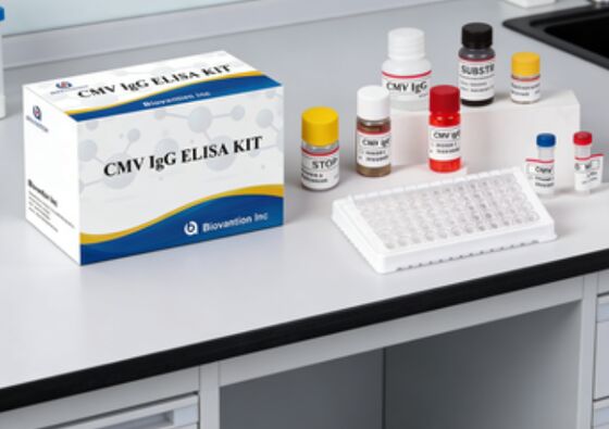 研究室または病院 高精度 CMV IgG Elisa 検査キット