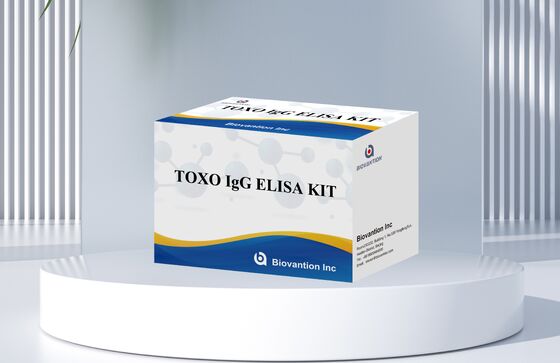 TOXO Ig G ELISA Test Kit with 99% Accuracy for Toxoplasma gondii IgG Detection, Endonuclease And Exonuclease Activity Tested, 24 Months Shelf Life