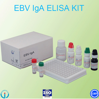 EBV-VCA IgA AbテストELISAキットの酵素の免疫学的検定テスト血しょう標本