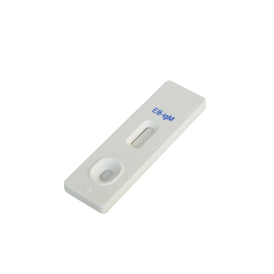 エプスタイン・バー EB IgG/IgM 急速カセット検査 検出期限 24 口