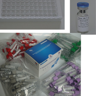 長期保存期間と 2C-8C 保存方法のIGRA ELISA 検査キット