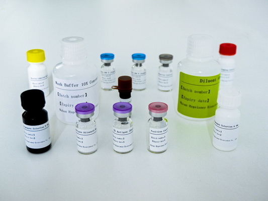 長期保存期間と 2C-8C 保存方法のIGRA ELISA 検査キット