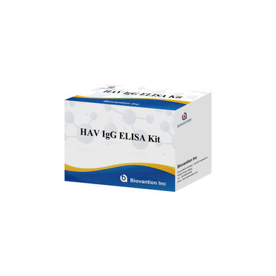 高感度 HAV IgG ELISA キット 正確な A型肝炎ウイルス検出 臨床および研究用として信頼性の高い CE 認証