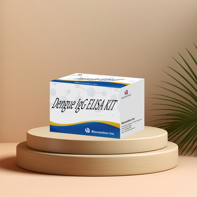 高性能デングイ IgG ELISA Kit 96 検査 敏感で正確な結果