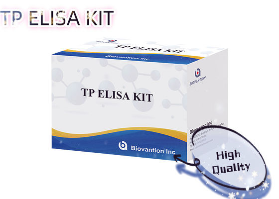 梅毒 TP ELISA 検査キット 96T トレポネマパリダム 抗体検知 人間の血清