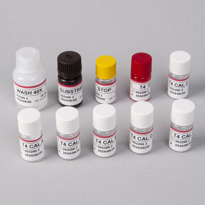 BIOVANTION T4 Elisa Test Kit For Accurate Detection Of Target Substances