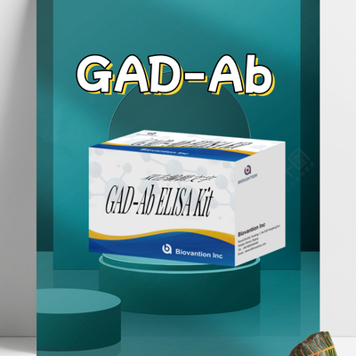 Anti-GAD ELISA Kit  Human Glutamic Acid Decarboxylase Autoantibody ELISA KiT GAD-Ab / GAD65 Autoantibody Enzyme Linked Immunosorbent Assay Test Kit